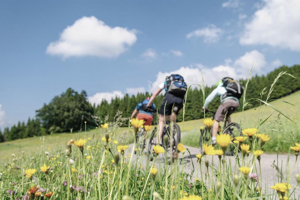 AdobeStock_50402475